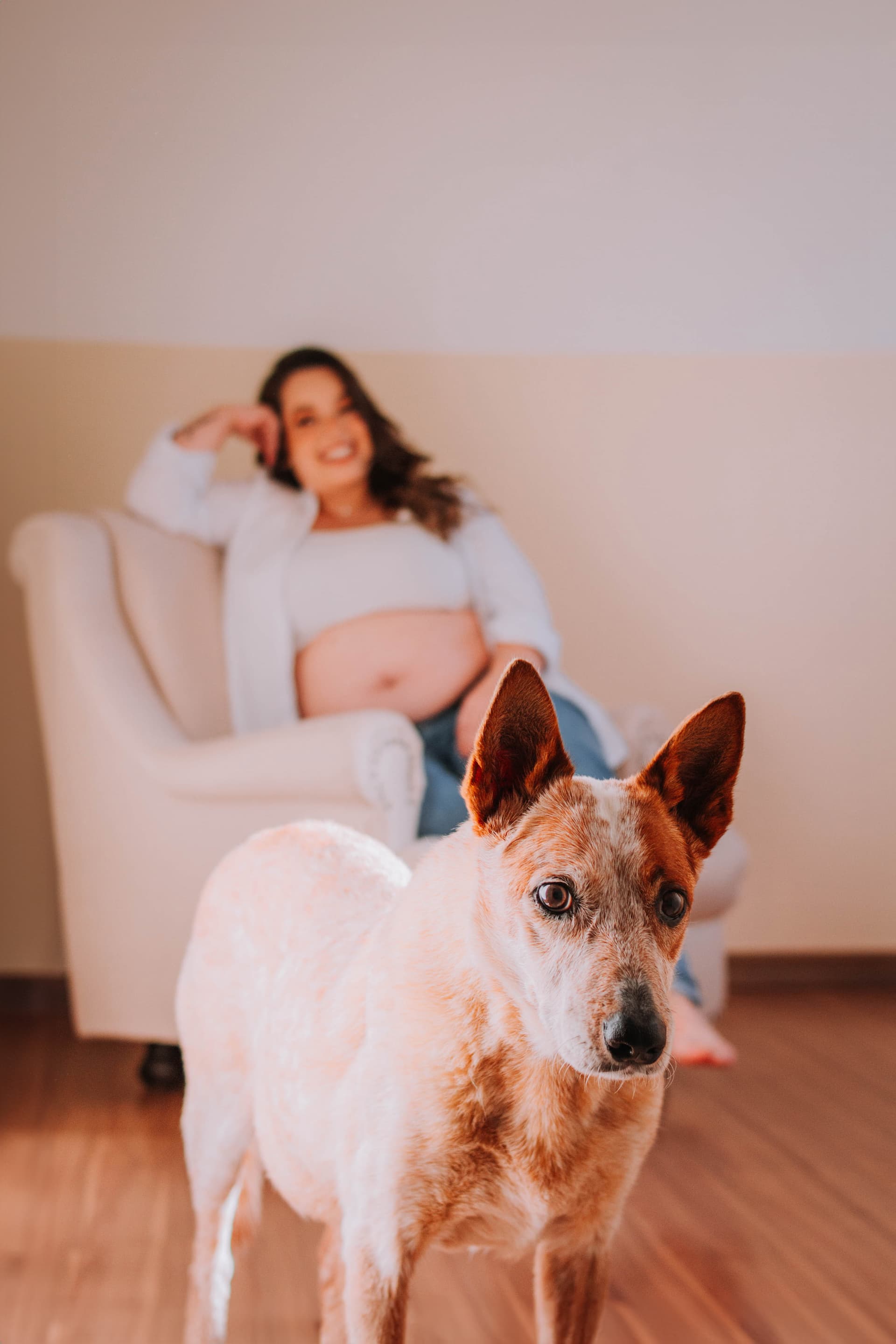 Imagem 11 da galeria fotográfica - Plartph