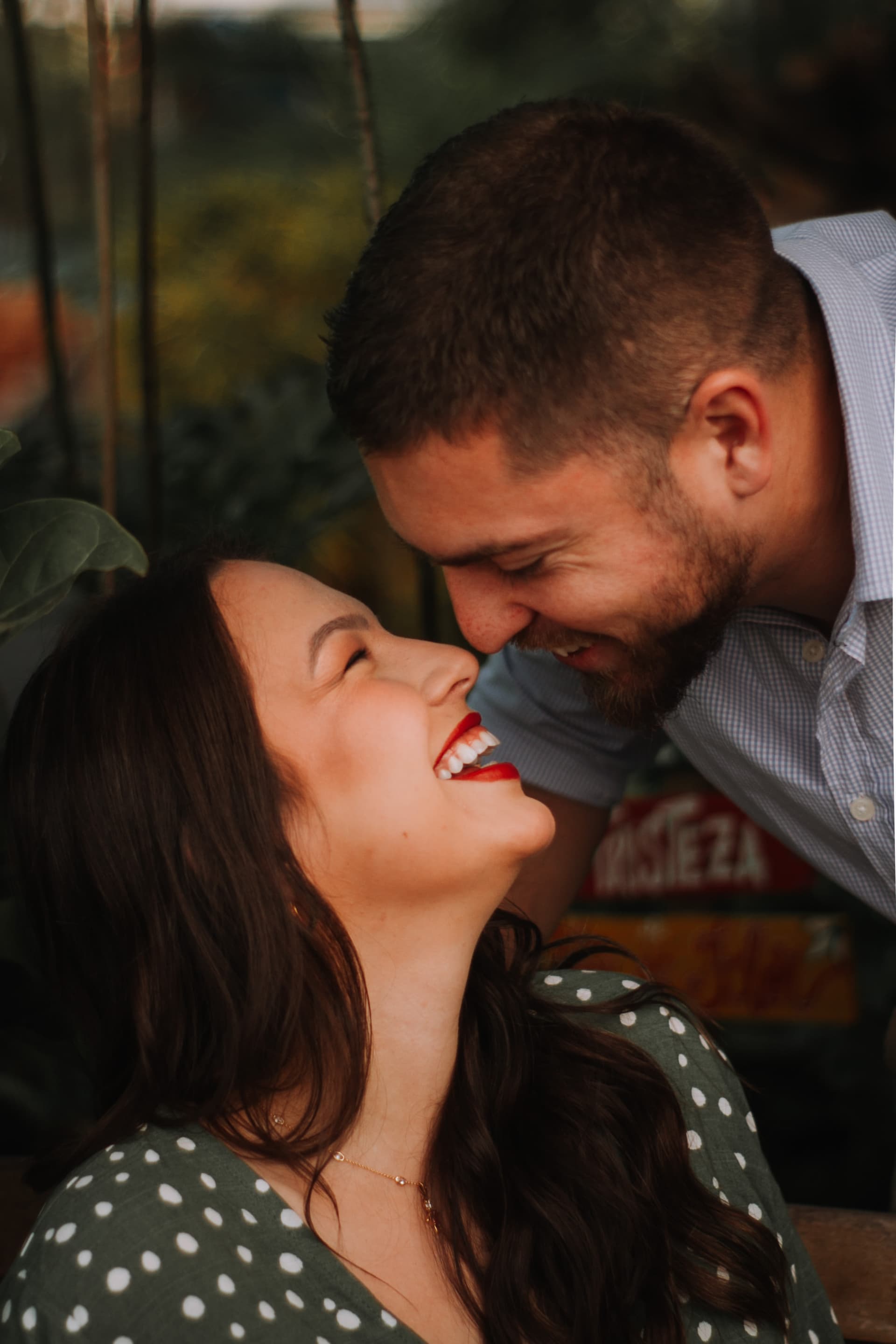 Imagem 8 da galeria fotográfica - Plartph