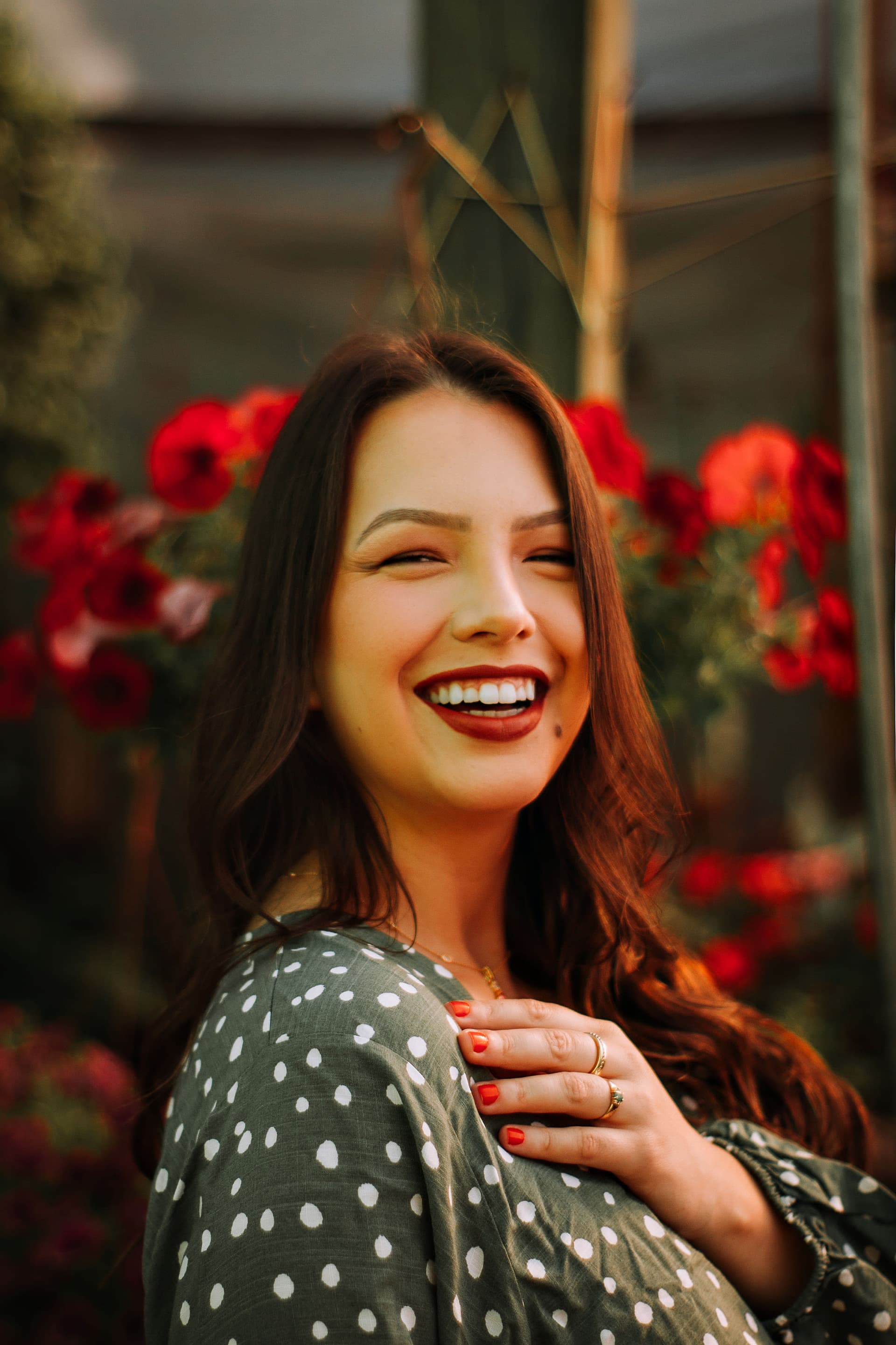 Imagem 7 da galeria fotográfica - Plartph