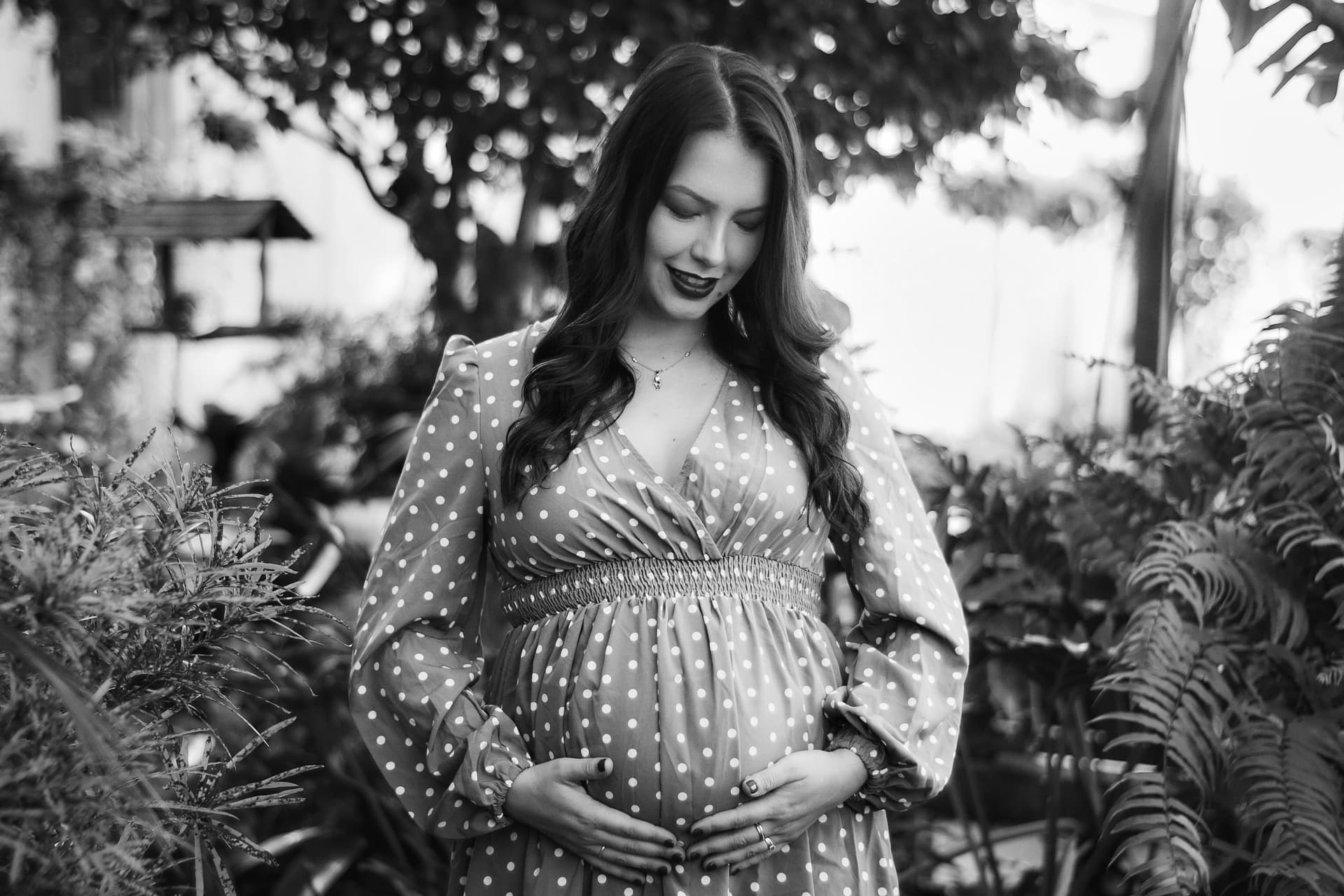 Imagem 12 da galeria fotográfica - Plartph