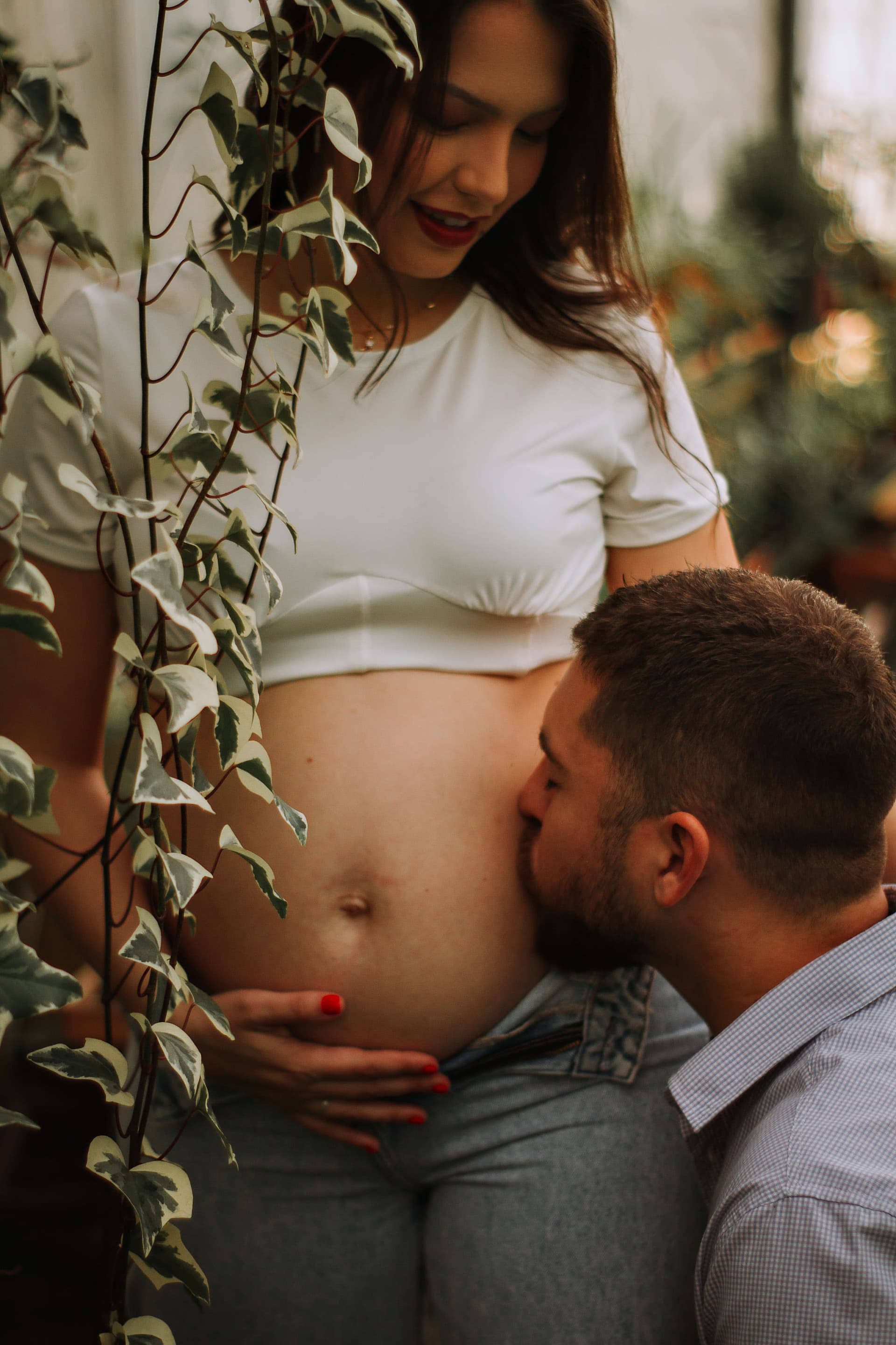 Imagem 15 da galeria fotográfica - Plartph