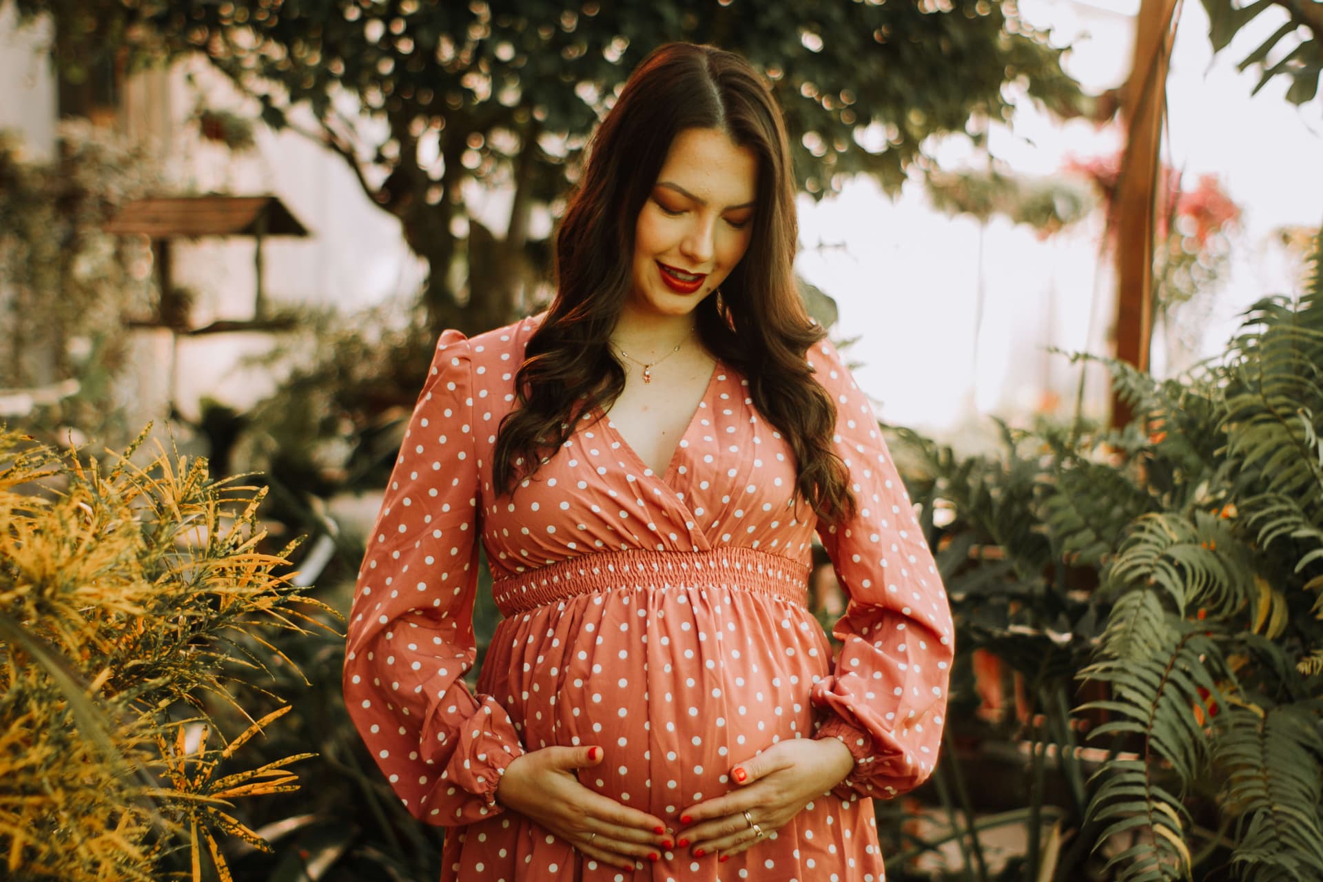 Imagem 17 da galeria fotográfica - Plartph