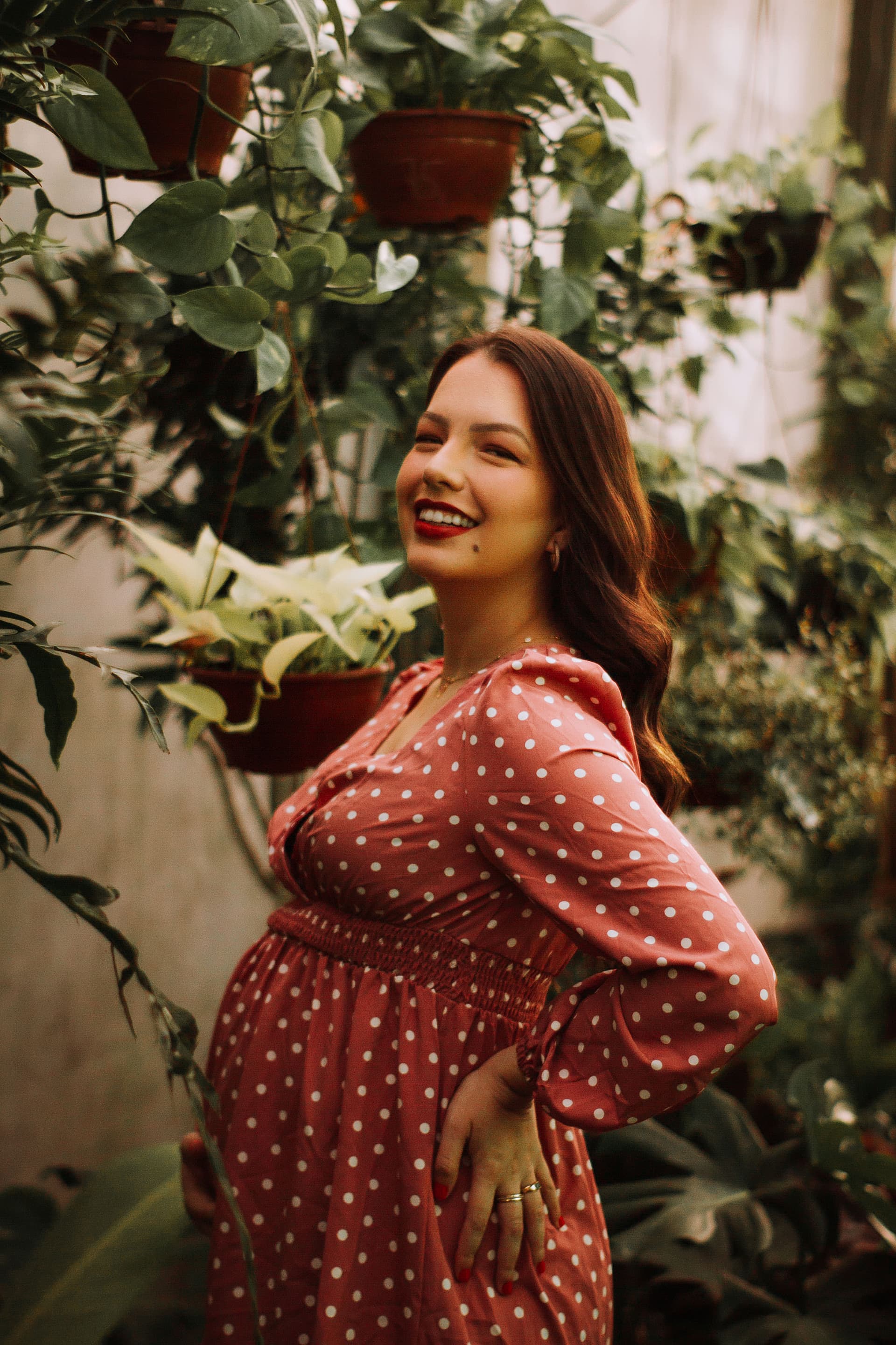 Imagem 31 da galeria fotográfica - Plartph