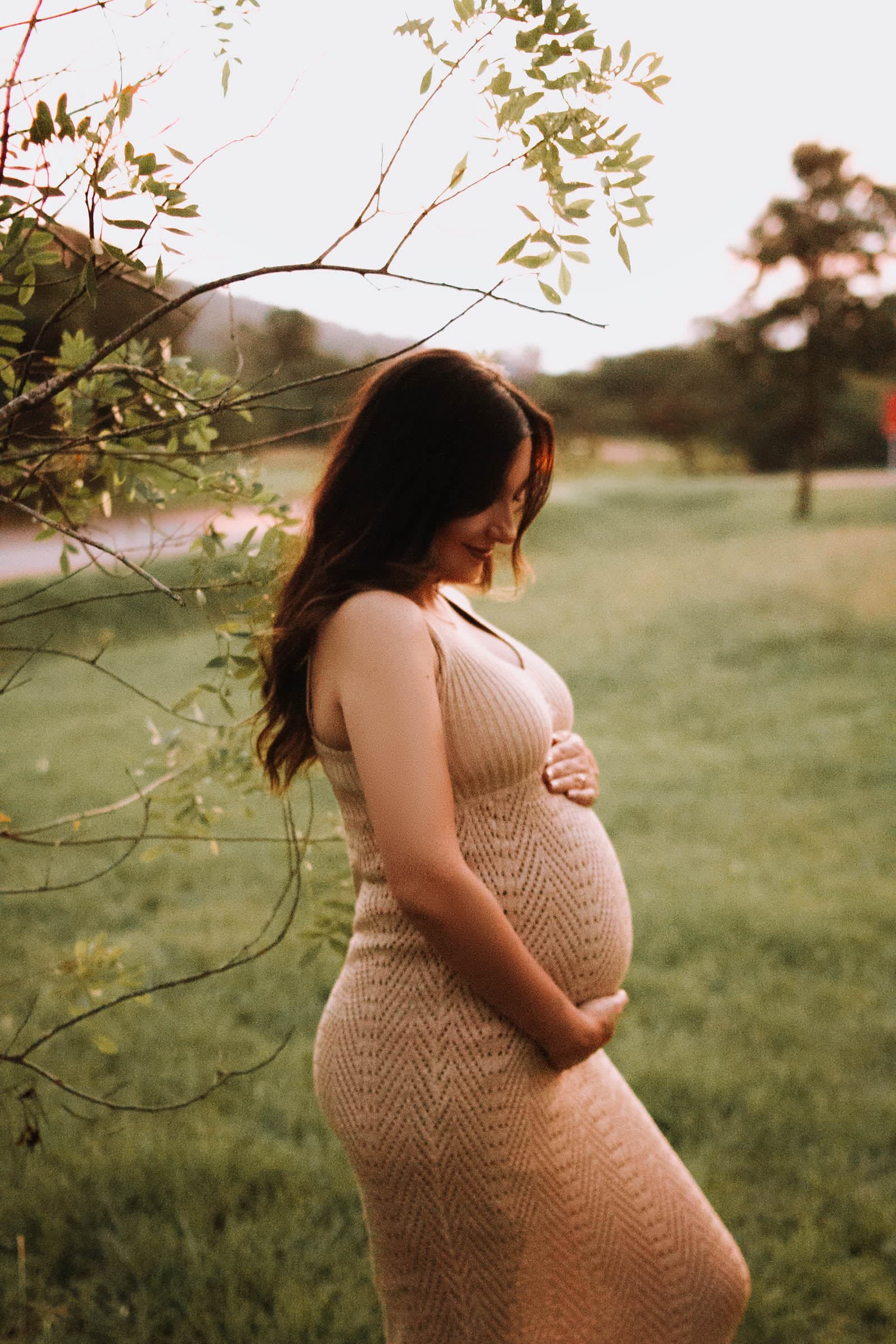 Imagem 17 da galeria fotográfica - Plartph