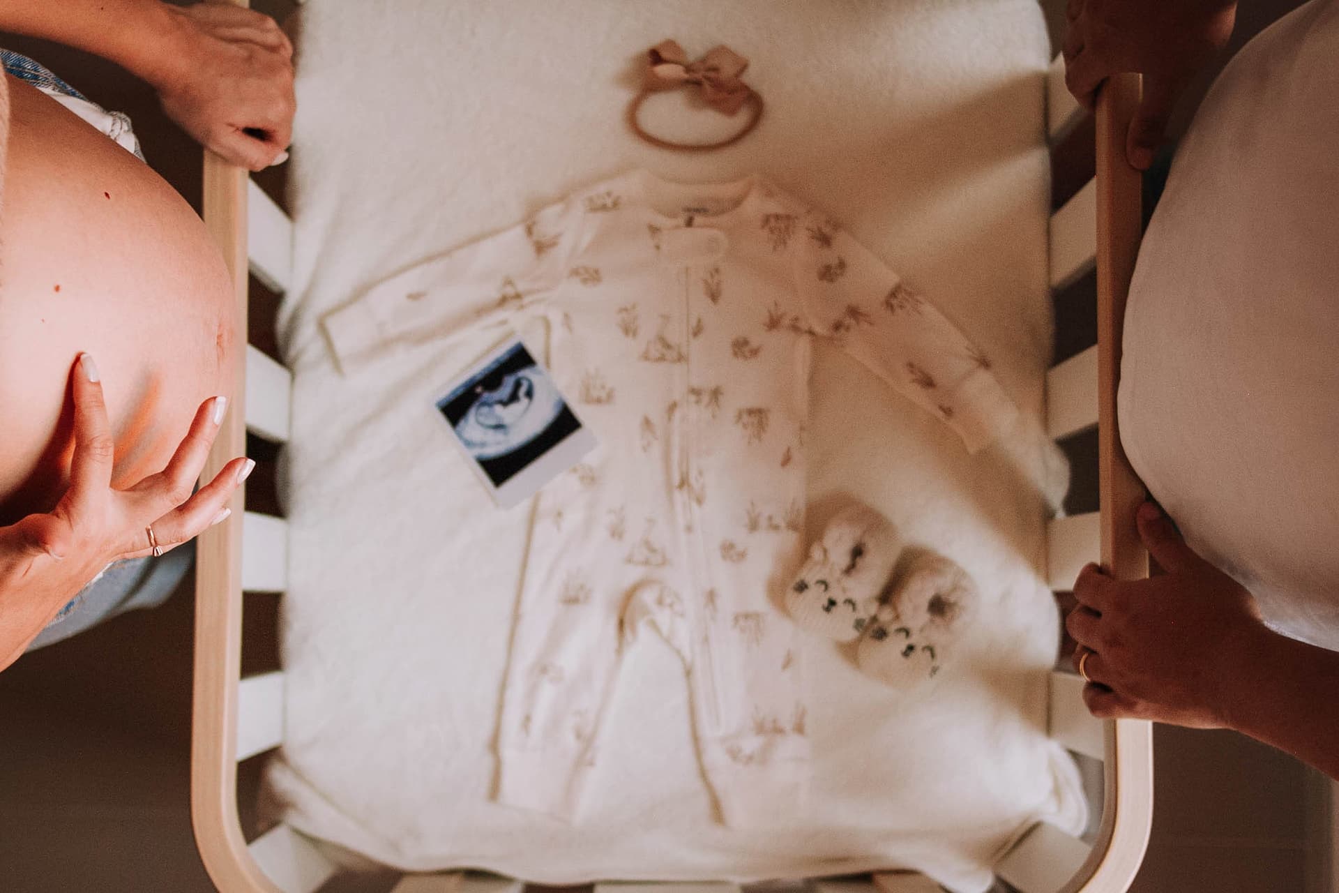 Imagem 18 da galeria fotográfica - Plartph