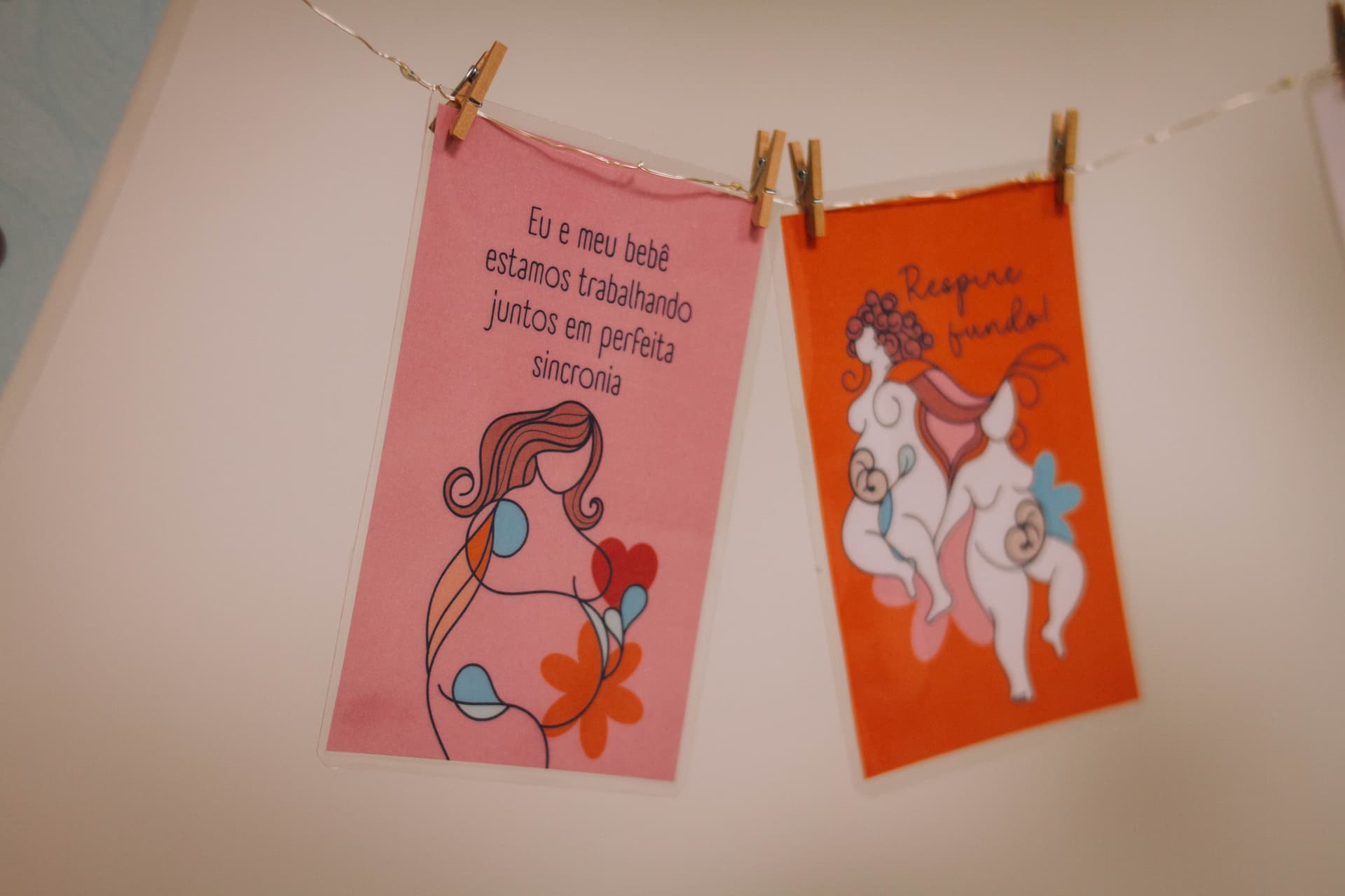 Imagem 1 da galeria fotográfica - Plartph