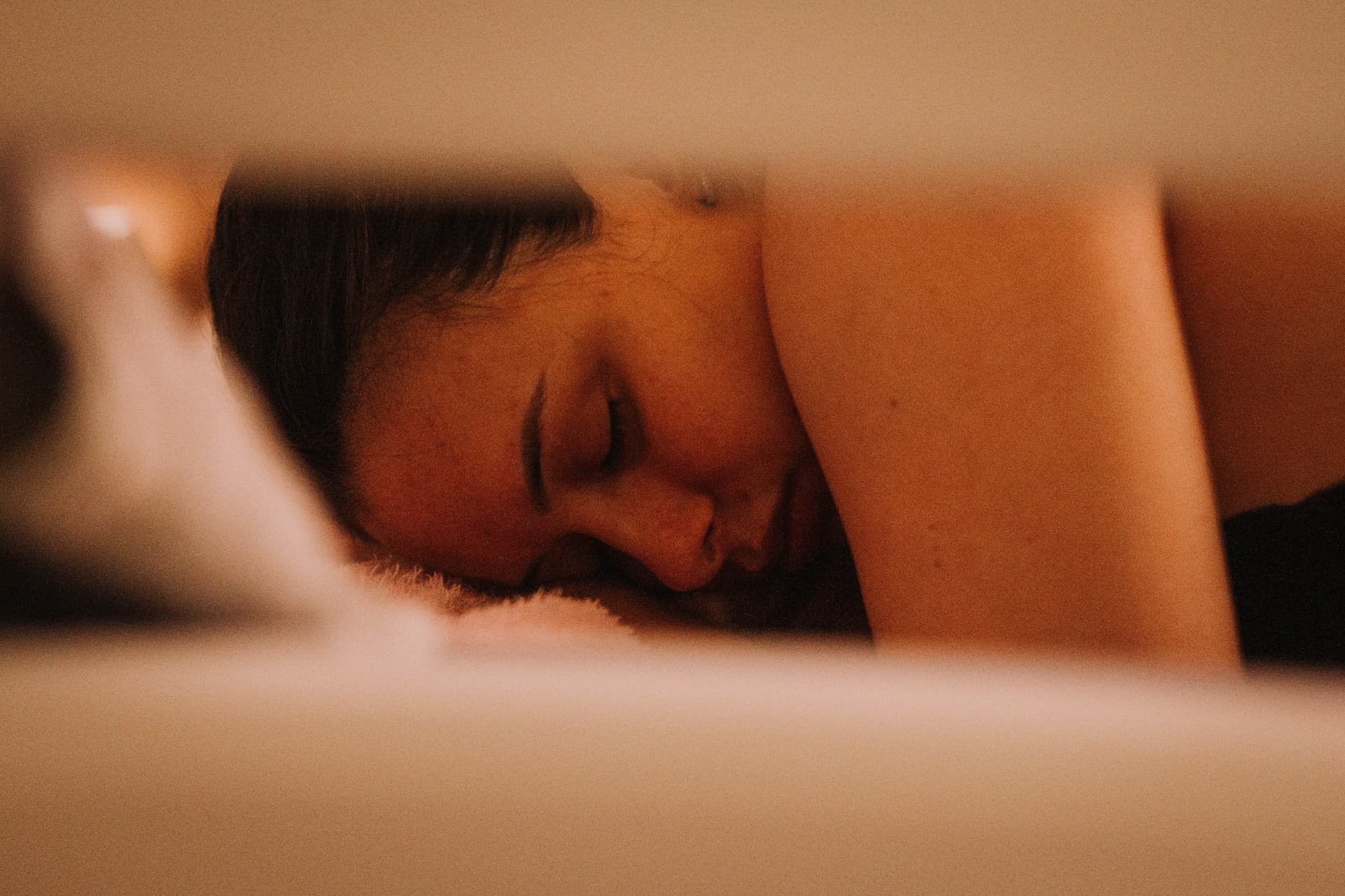 Imagem 8 da galeria fotográfica - Plartph