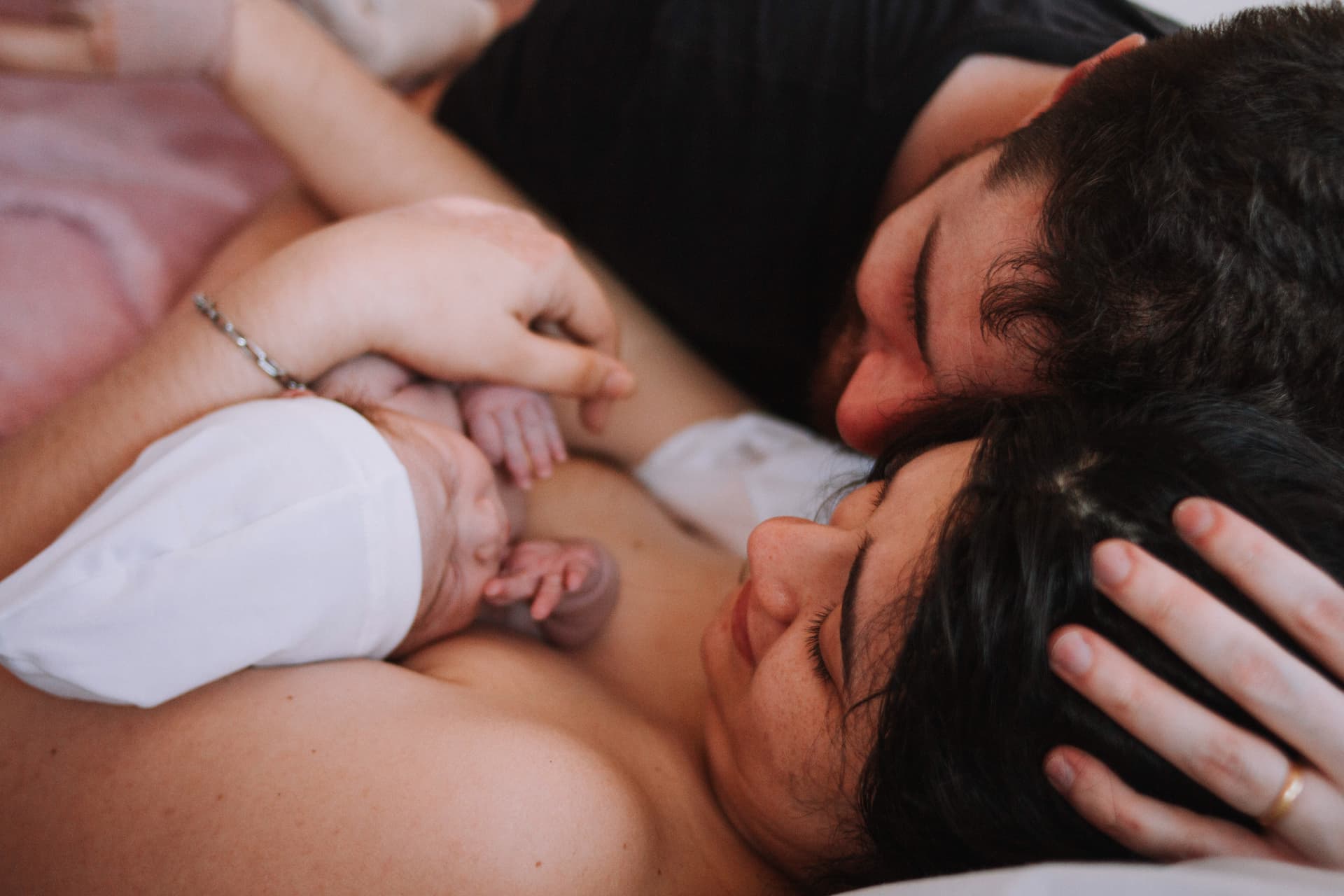 Imagem 9 da galeria fotográfica - Plartph