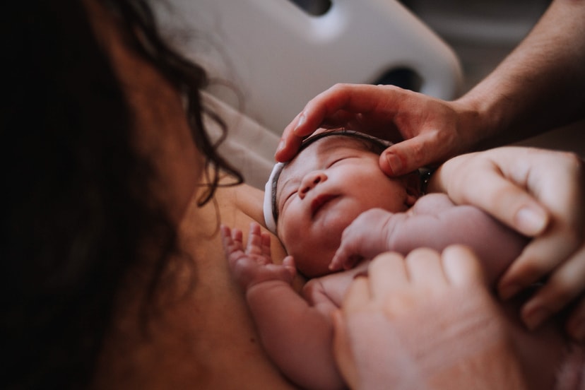 Chegada da Alena - Portfólio Plartph