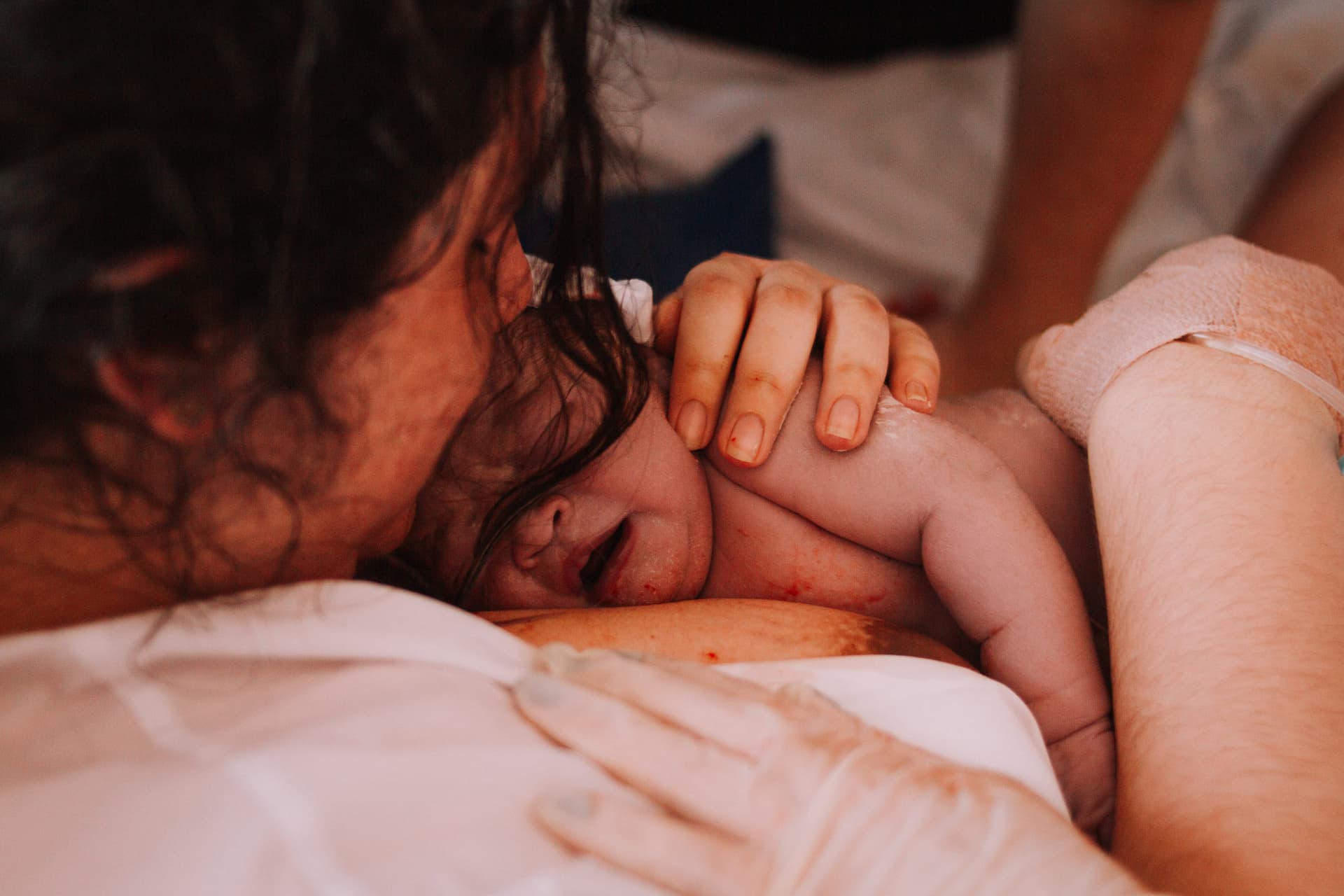 Imagem 14 da galeria fotográfica - Plartph