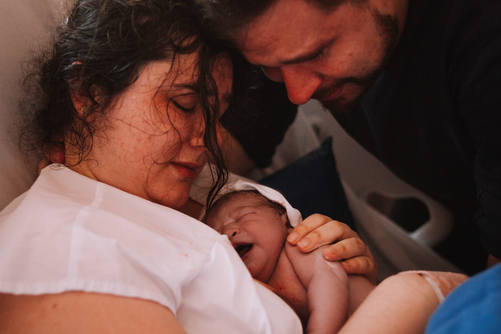 Imagem 17 da galeria fotográfica - Plartph