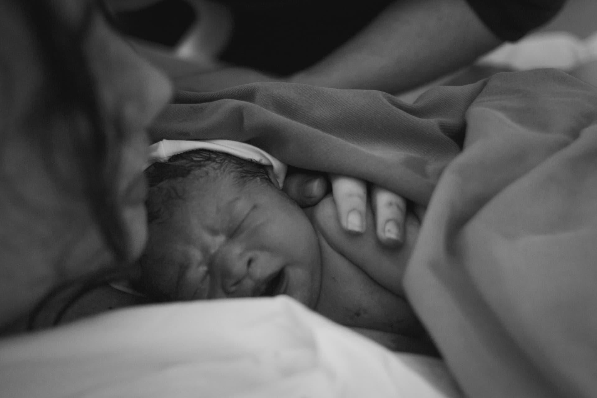 Imagem 16 da galeria fotográfica - Plartph