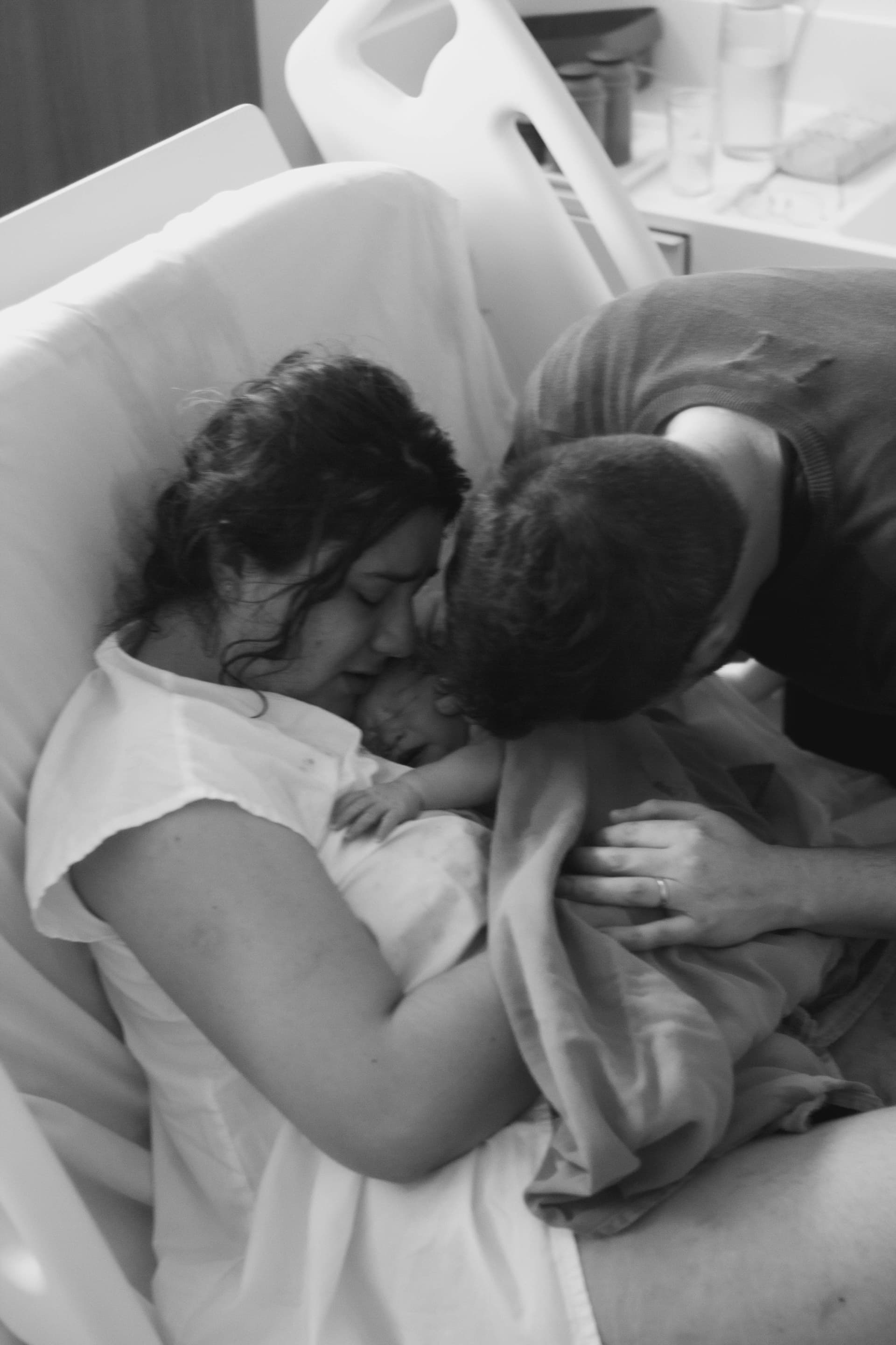 Imagem 19 da galeria fotográfica - Plartph