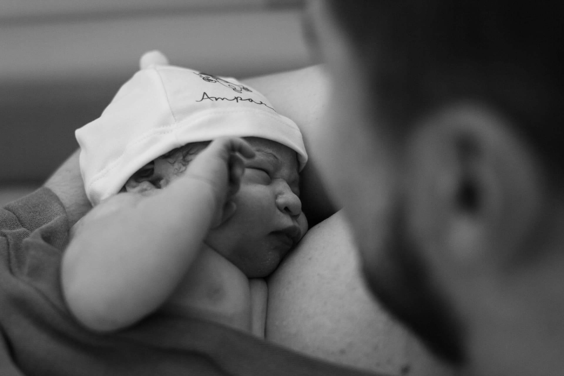 Imagem 23 da galeria fotográfica - Plartph