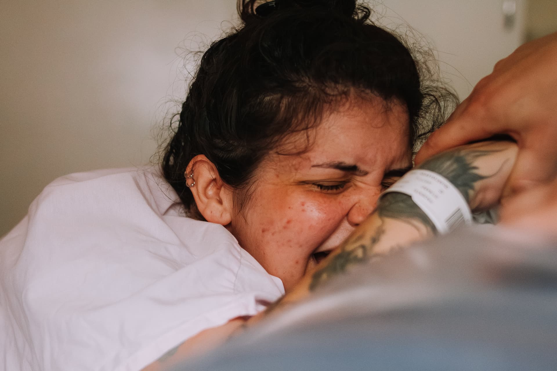 Imagem 1 da galeria fotográfica - Plartph