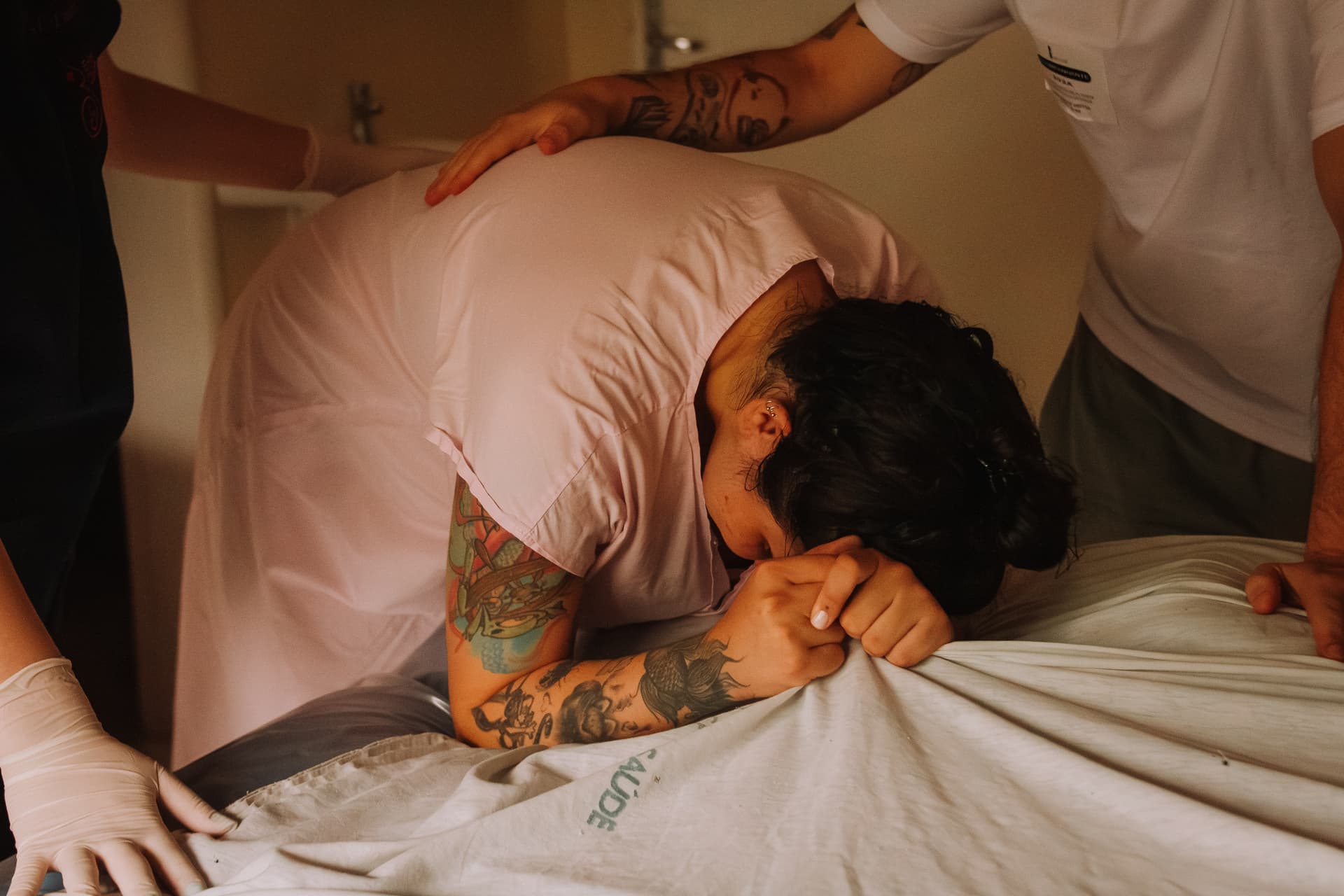 Imagem 16 da galeria fotográfica - Plartph