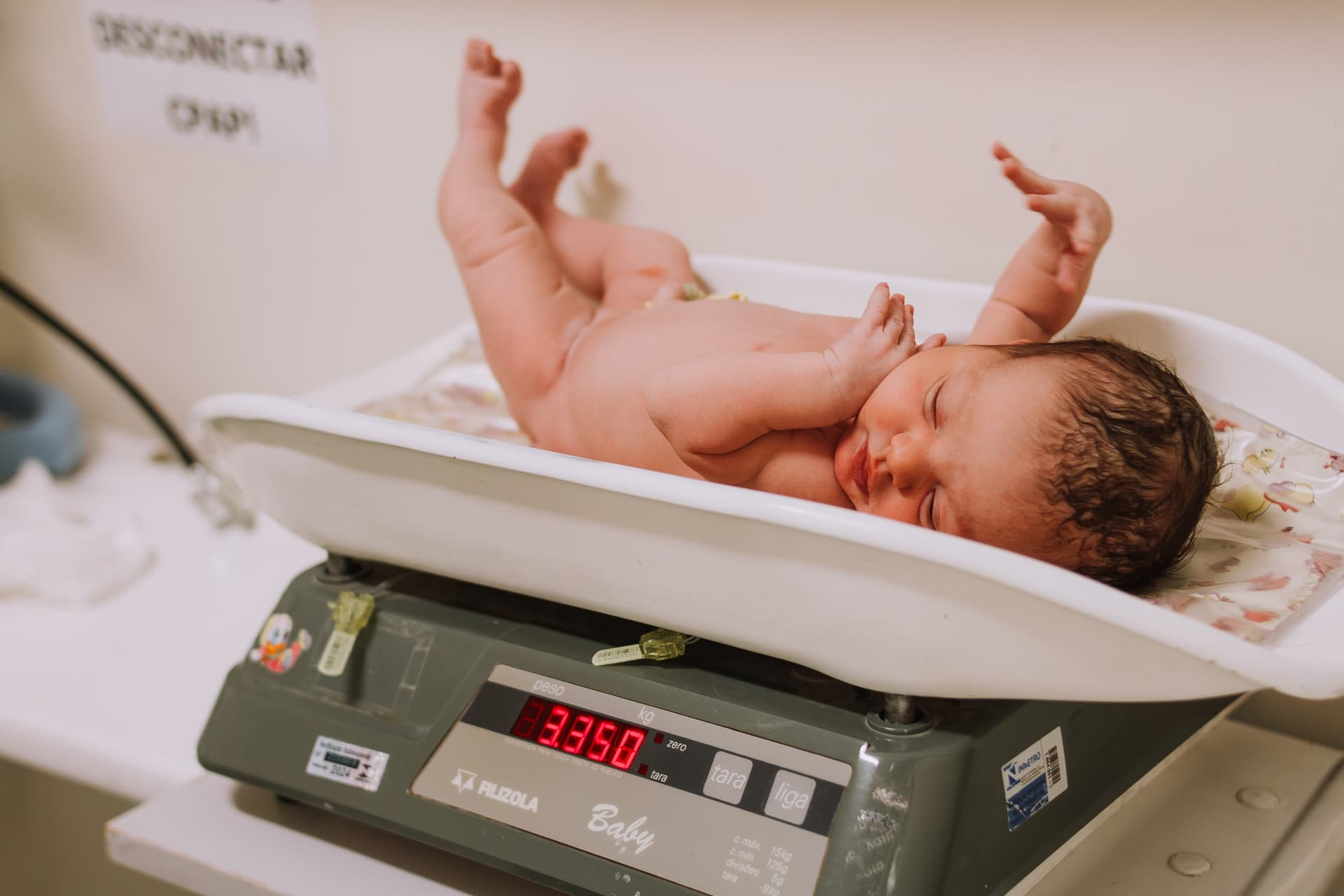 Imagem 31 da galeria fotográfica - Plartph