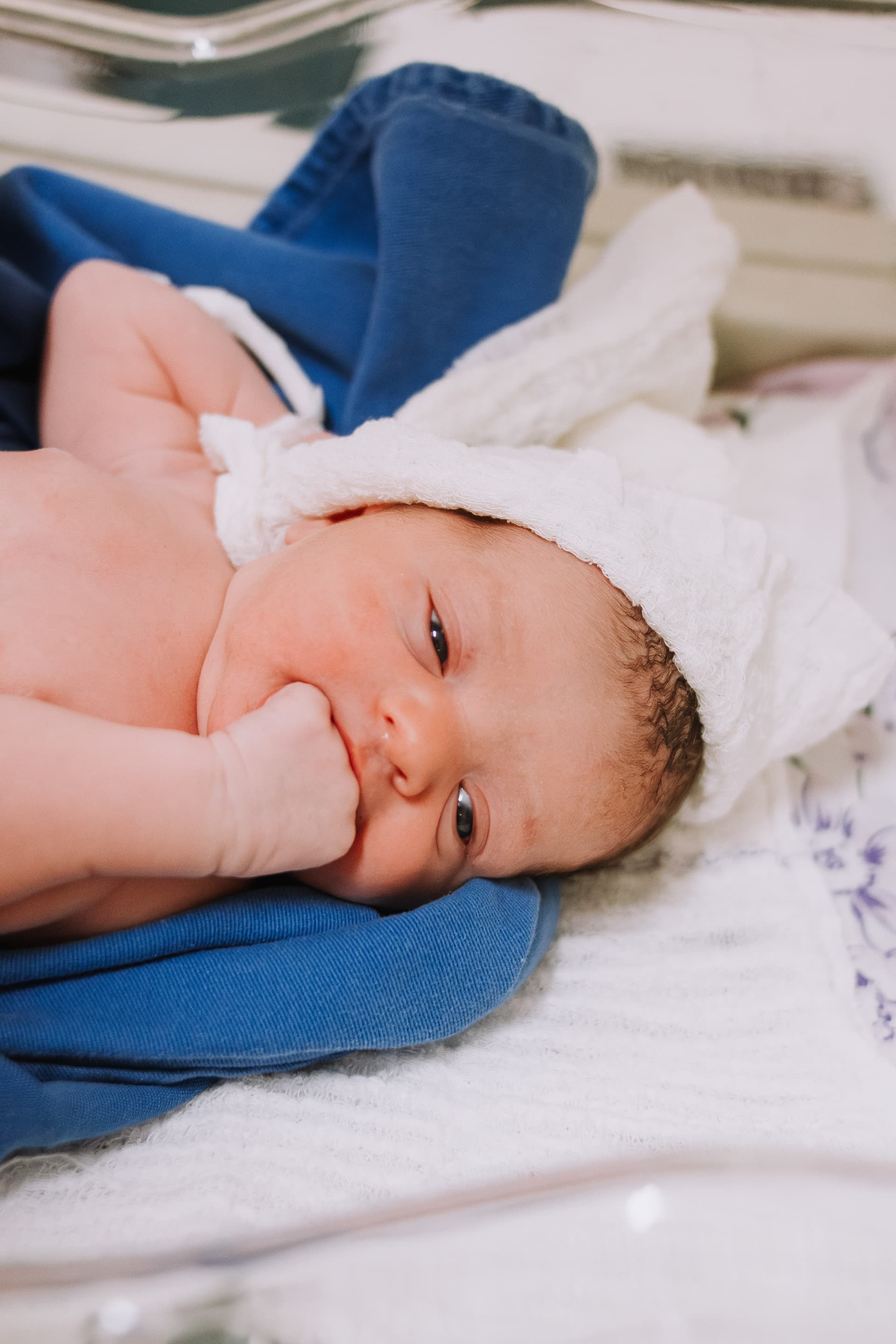 Imagem 42 da galeria fotográfica - Plartph