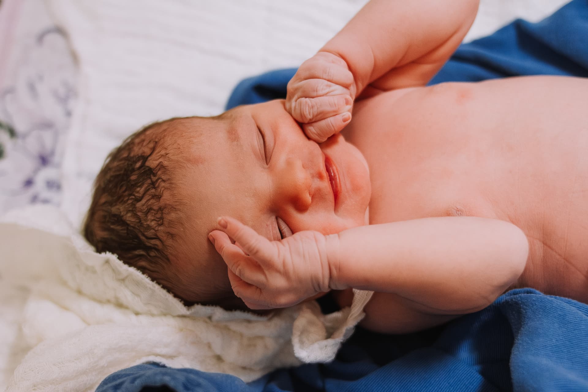 Imagem 44 da galeria fotográfica - Plartph