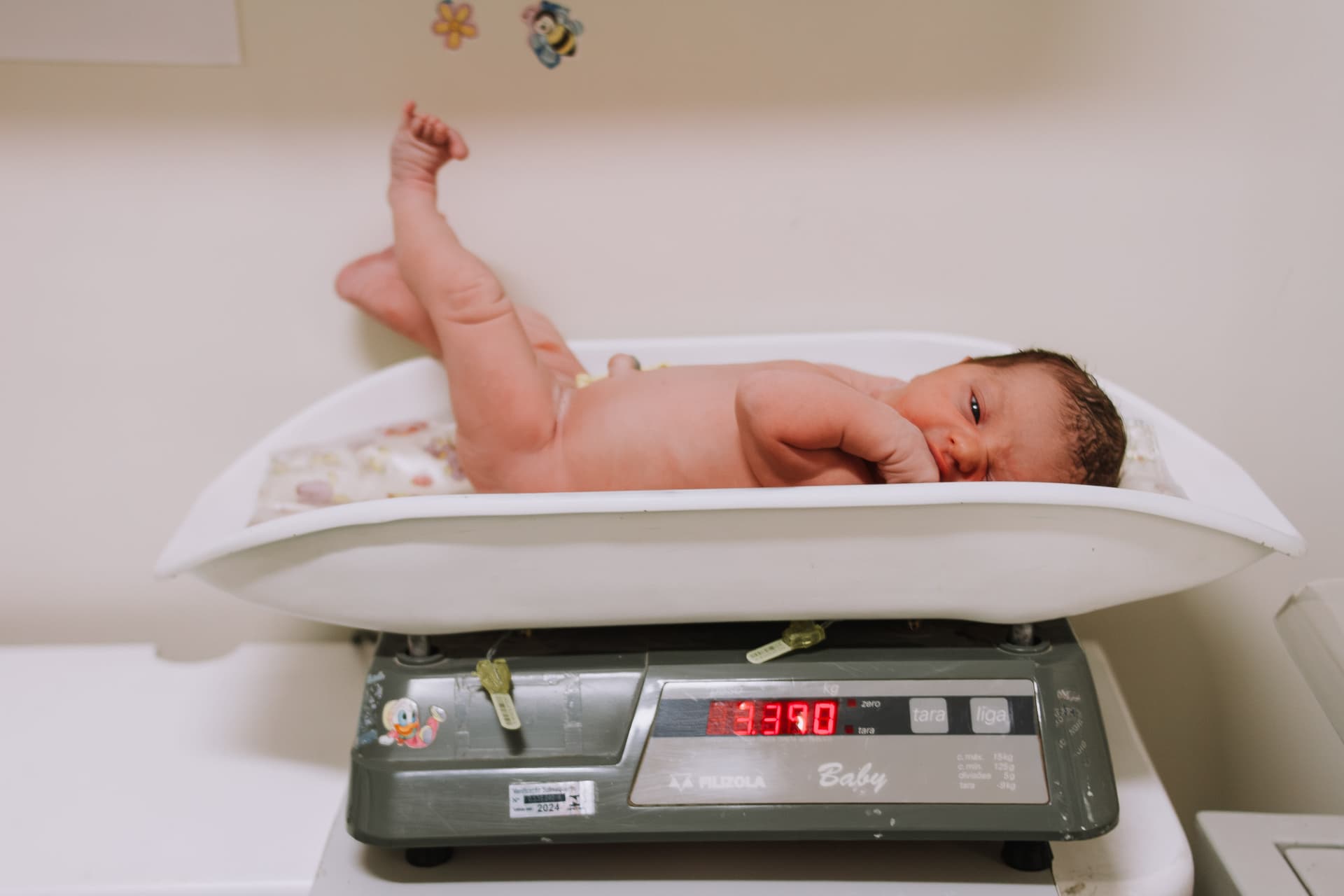 Imagem 46 da galeria fotográfica - Plartph