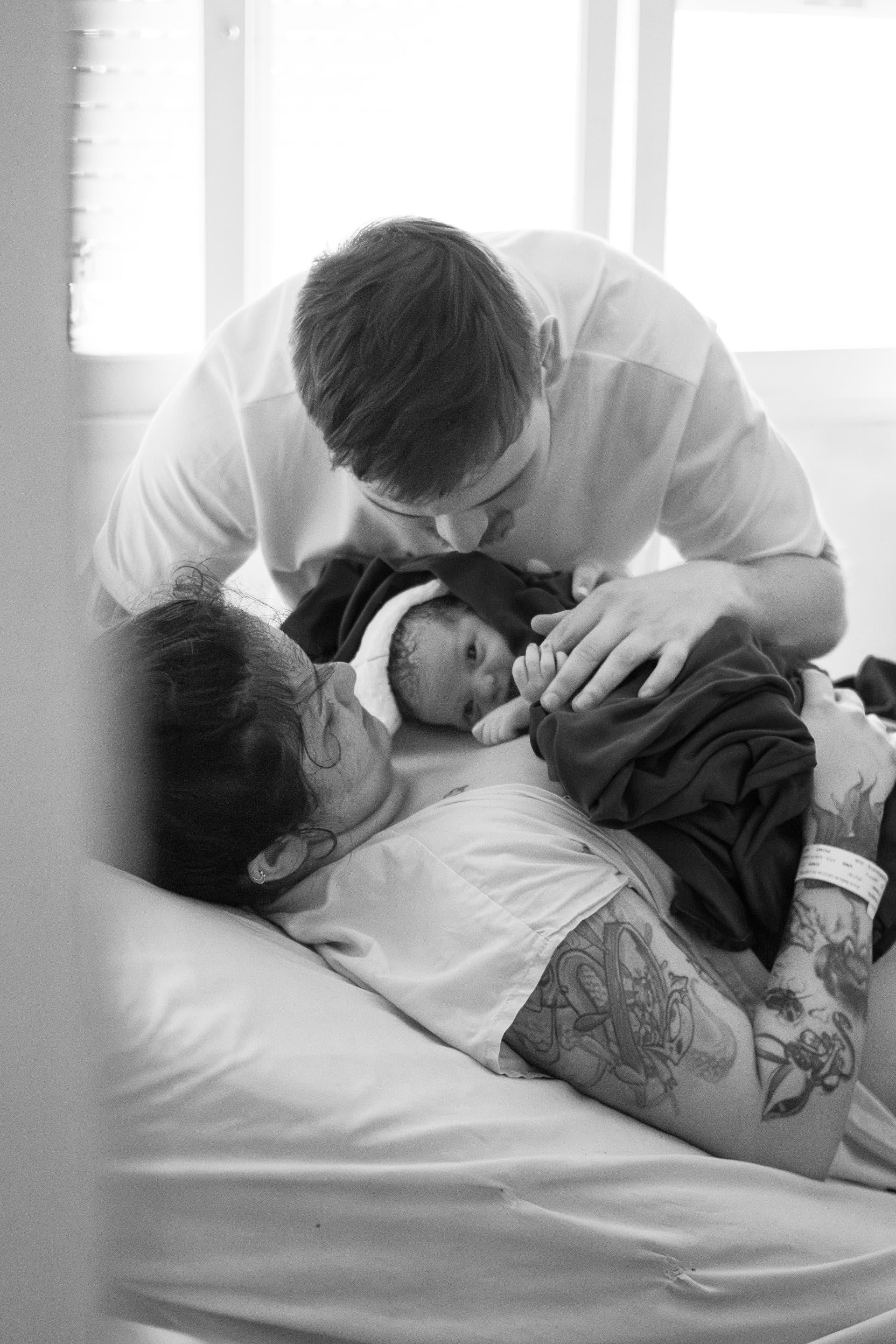 Imagem 52 da galeria fotográfica - Plartph