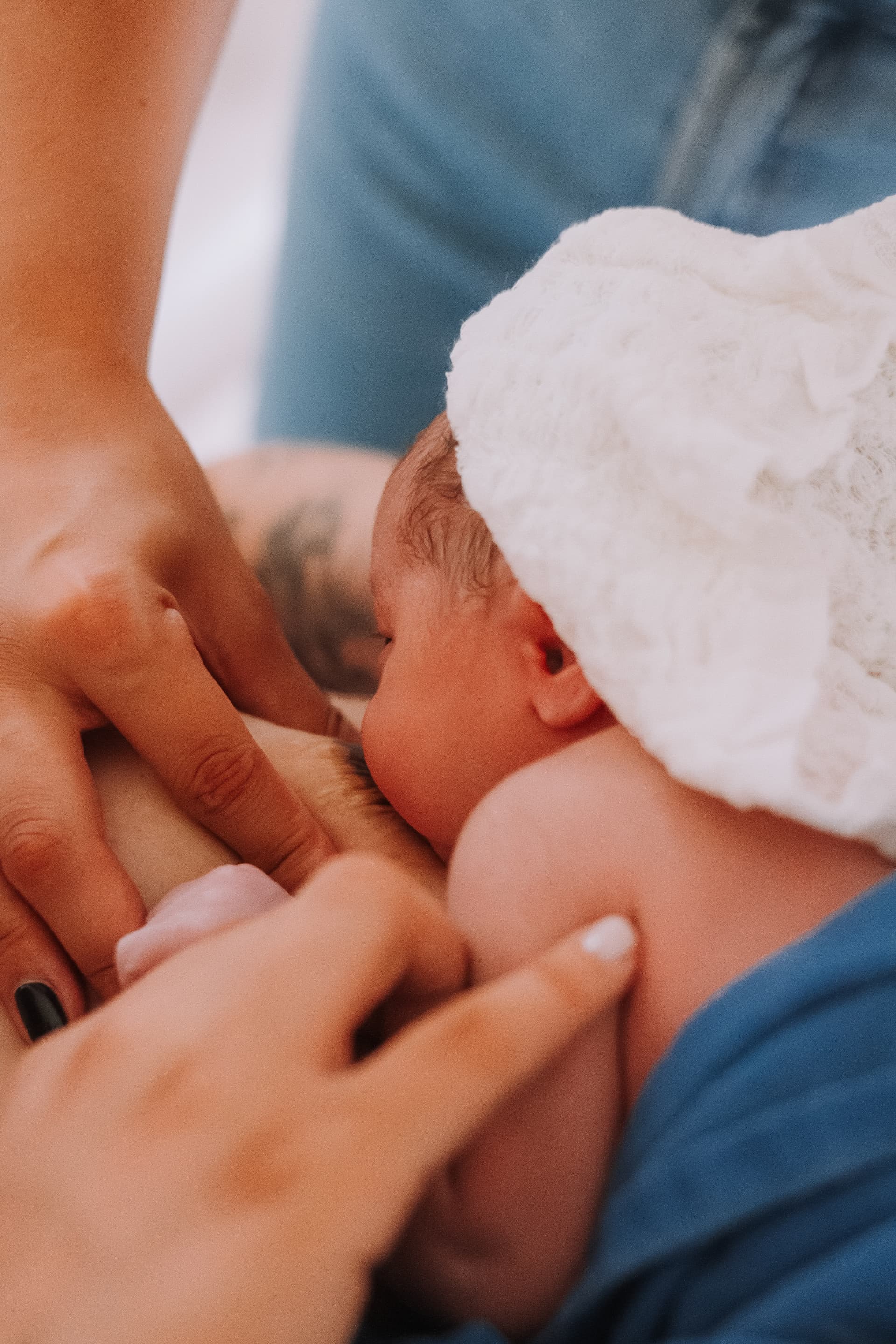 Imagem 58 da galeria fotográfica - Plartph